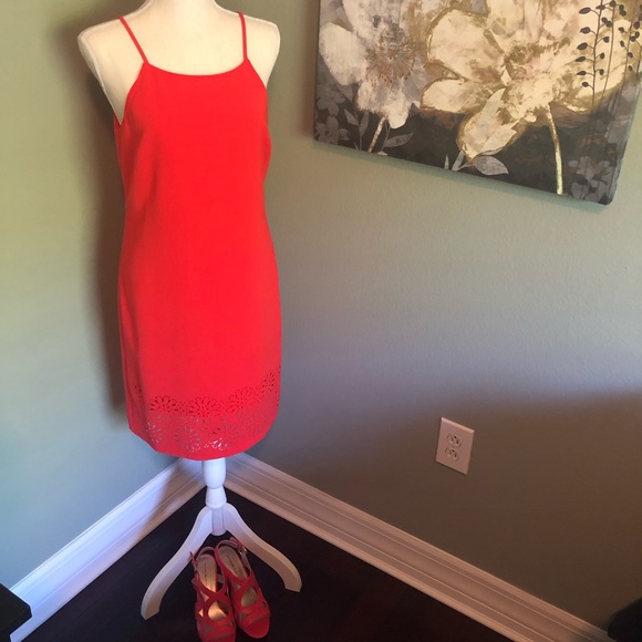 Coral Dress - Picture 3 of 4